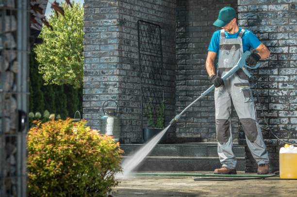 Best Roof Cleaning and Mildew Removal in Colby, WI